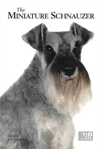Miniature Schnauzer