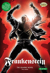 Frankenstein The Graphic Novel 