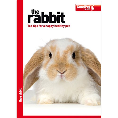 The Rabbit - Good Pet Guide