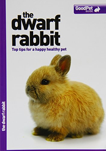The Dwarf Rabbit - Good Pet Guide