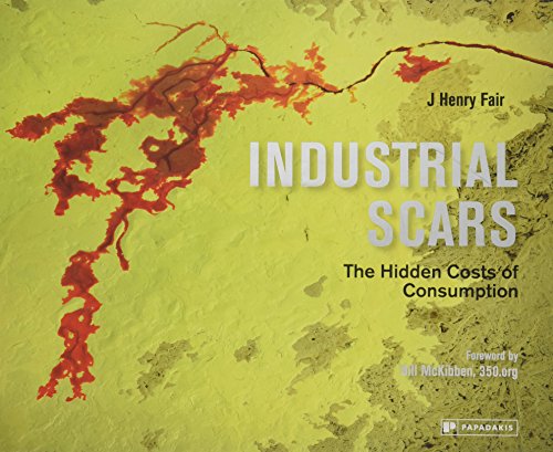 Industrial Scars: The Hidden Costs of Consumption
