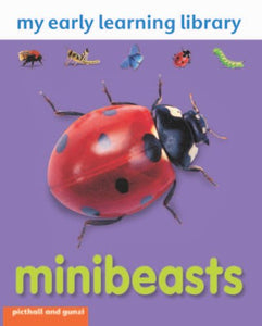 Mini Beasts 