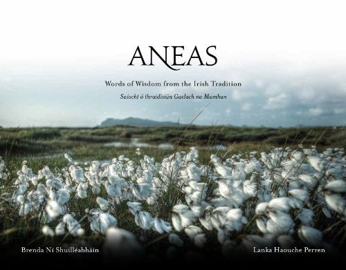 Aneas