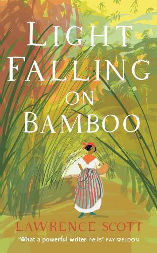 Light Falling on Bamboo