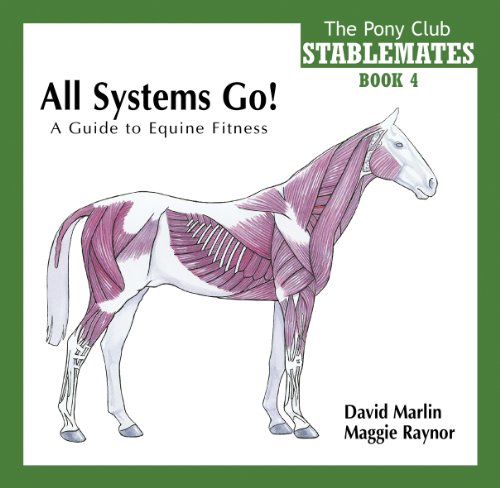 All Horse Systems Go!