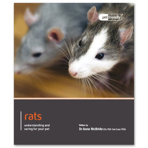 Rat - Pet Friendly
