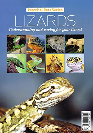 Lizards - Understanding and caring for your lizard