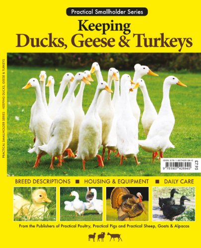 Keeping, Ducks, Geese & Turkeys