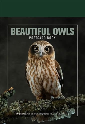 Beautiful Owls Postcard Book