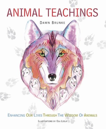 Animal Teachings