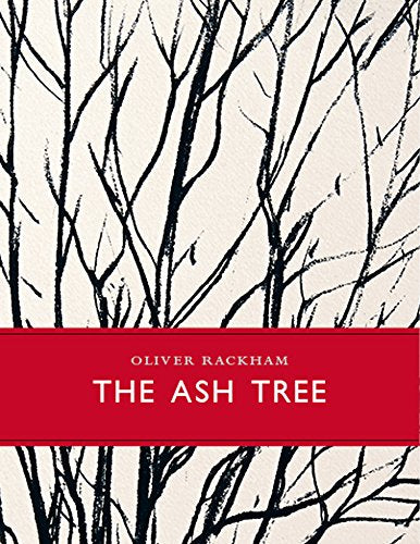 The Ash Tree