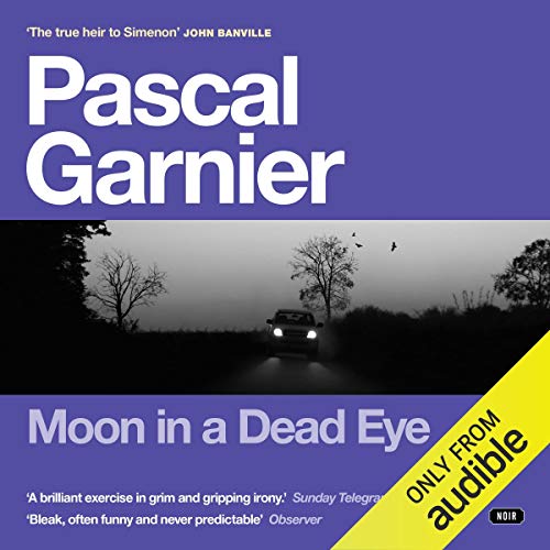Moon in a Dead Eye: Shocking, hilarious and poignant noir