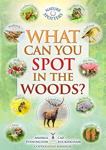 What Can You Spot in the Woods? 