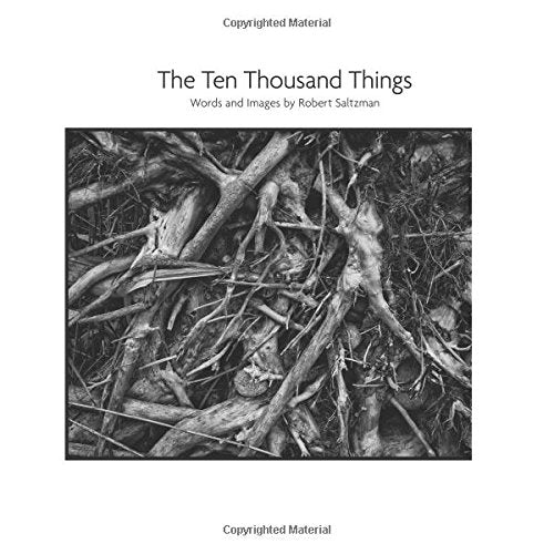 The Ten Thousand Things