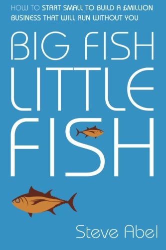 Big Fish, Little Fish: How to start small to build a £million business that will run without you