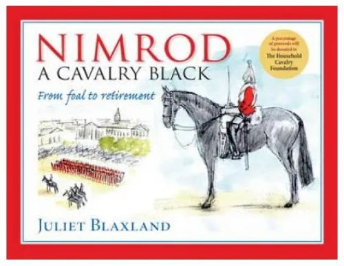 Nimrod: A Cavalry Black
