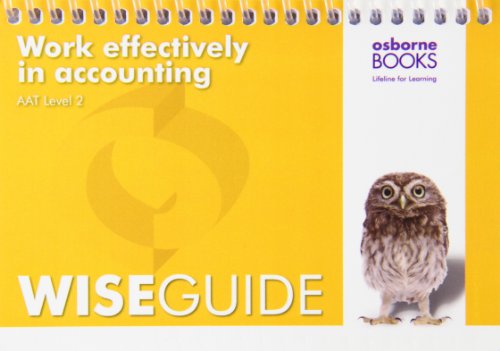 Work Effectively in Accounting Wise Guide