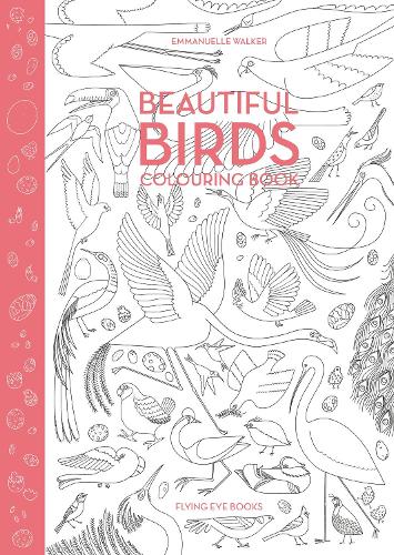 Beautiful Birds Colouring Book