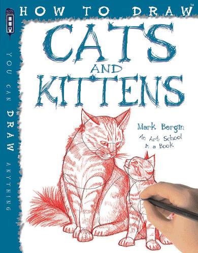 How To Draw Cats And Kittens