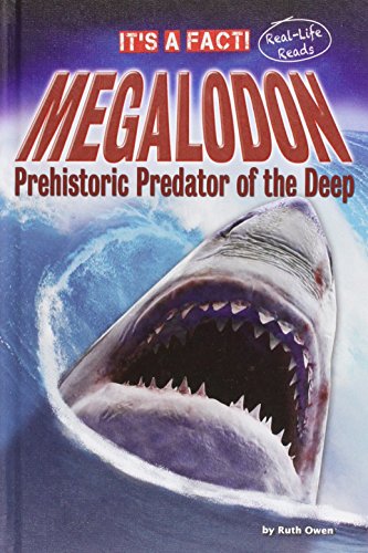 Megalodon