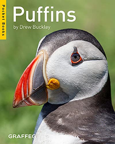 Puffins (Pocket Books)