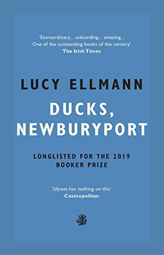 Ducks, Newburyport