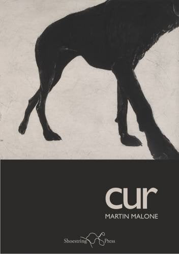 Cur