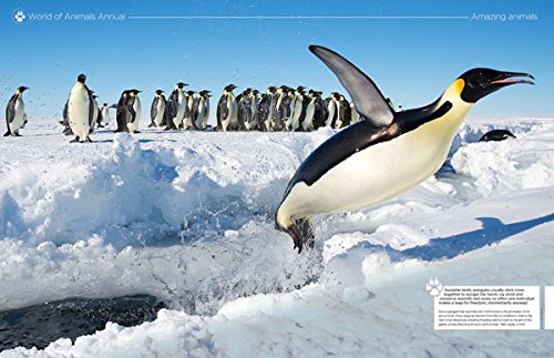 World of Animals Annual