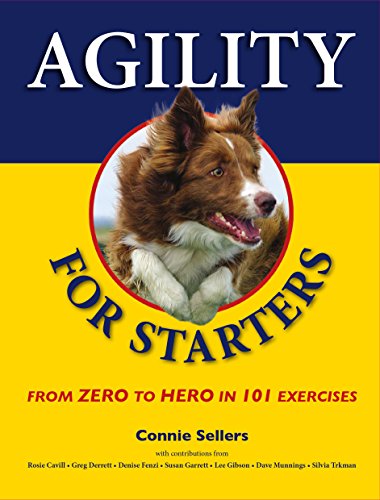 Agility for Starters