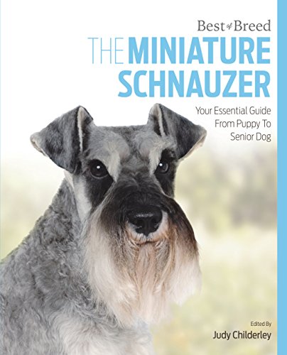 Miniature Schnauzer
