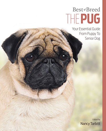 Pug