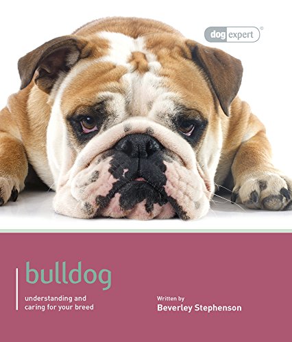 Bulldog
