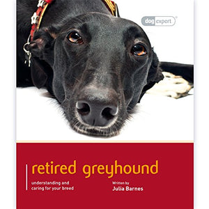 Greyhound 