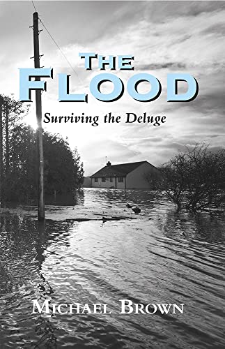 The Flood