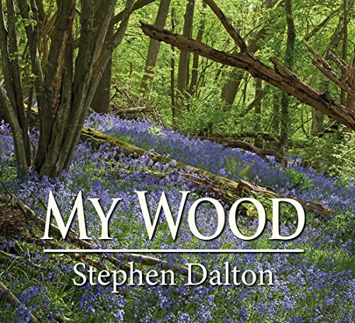 My Wood