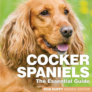 Cocker Spaniels 