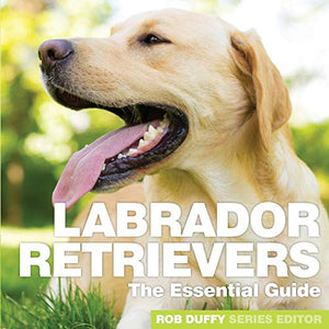 Labrador Retrievers 