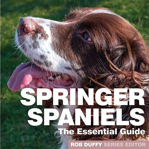 Springer Spaniels 