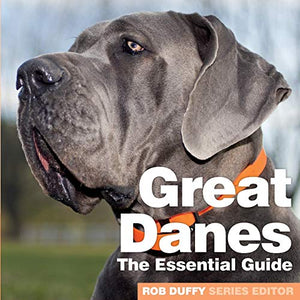 Great Danes 