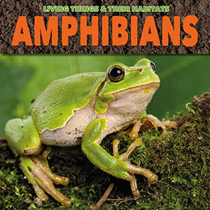 Amphibians 