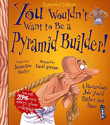 You Wouldn't Want To Be A Pyramid Builder!