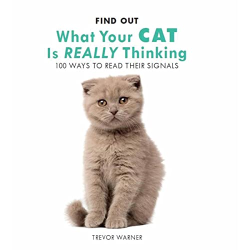 Find Out What Your Cat is Really Thinking: 100 Ways to Read Their Signals