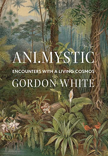 Ani.Mystic