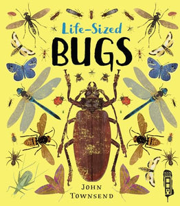 Life-Sized Bugs 