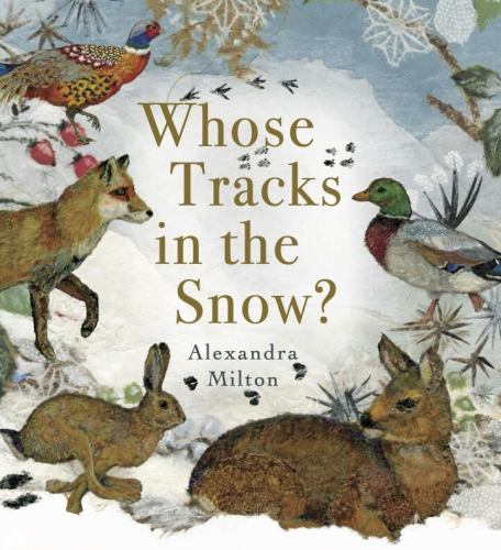Whose Tracks in the Snow?