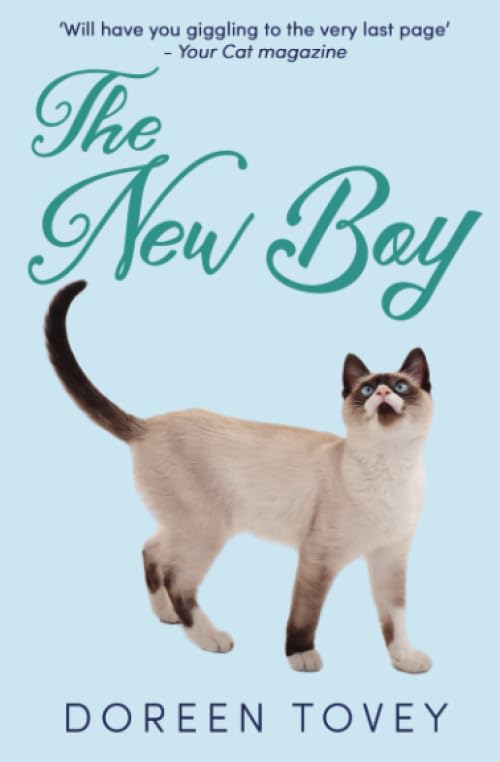 The New Boy
