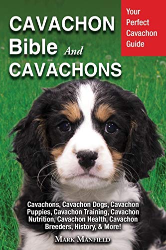Cavachon Bible And Cavachons