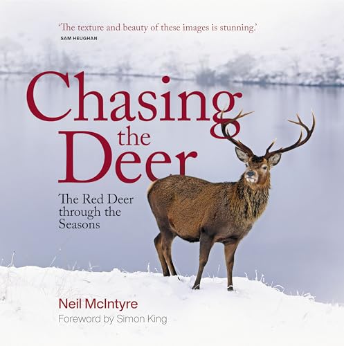 Chasing the Deer