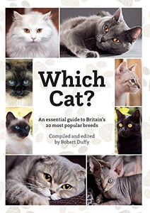 Which Cat? 