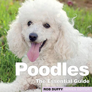 Poodles 